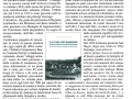 Periodico comunale di Olgiate Olona, dicembre 2013